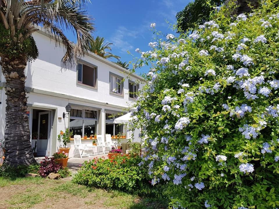 Hotel Puerto Las Palmas Пунта-дель-Есте Екстер'єр фото